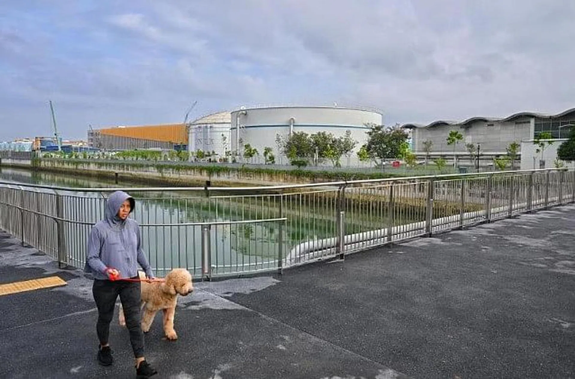 Residents and visitors can walk or jog along a bridge that was opened as part of the Eastern Corridor. ST PHOTO: SHINTARO TAY