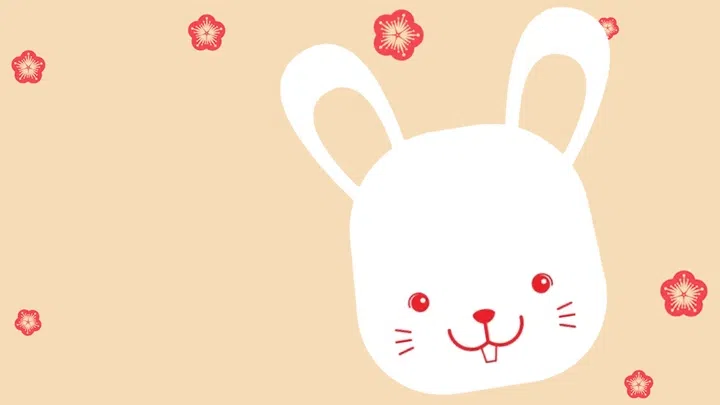 Rabbit 2024 Zodiac Feng Shui reading by Grand Master Phang