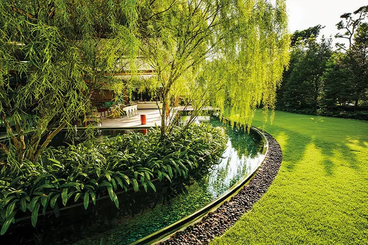 Planters in the pool allow more space for greenery to grow. (Photo: Patrick Bingham-Hall)