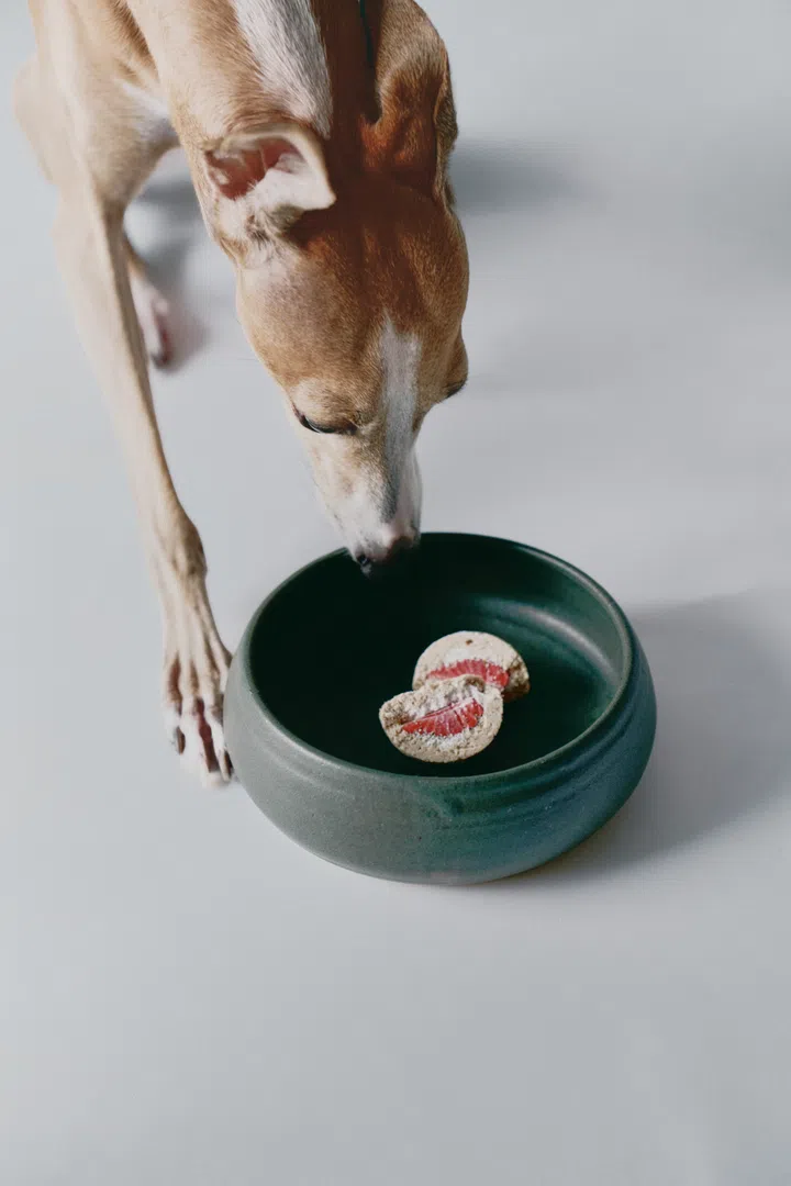 Pet treats from In Good Thyme will be retailing at the In Good Company x Woof Living Pop-Up at 316 Joo Chiat Road from 24 September to 4 October 2026.