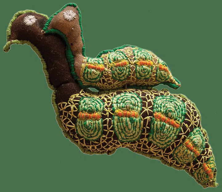 soft sculpture, art exhibition, Aboriginal art