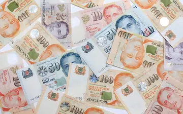 A collection of Singapore Dollars (SGD) banknotes, from $2 to $100, isolated on a white background.