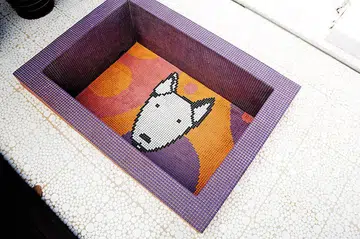 pet, dog, home and decor, renovation, 