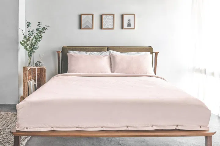 dulux spiced honey with pastel pink, sojao singapore