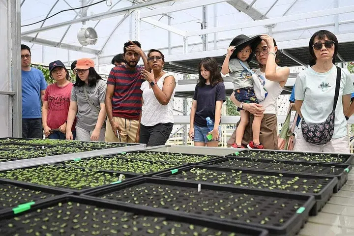Visitors at Greenhood rooftop urban farm in Hougang
