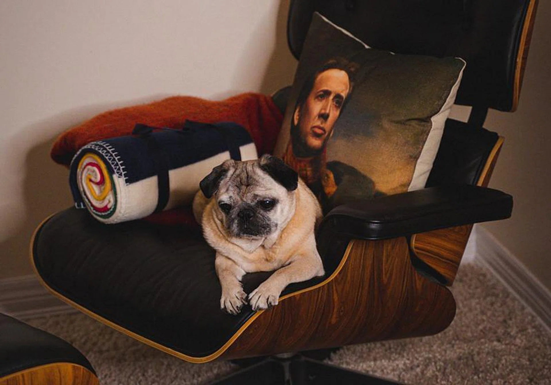 Photo by Justin Jason on Unsplash