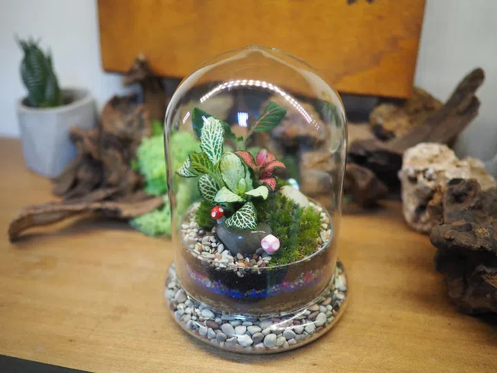 J2 Terrarium with workshops available at Yishun