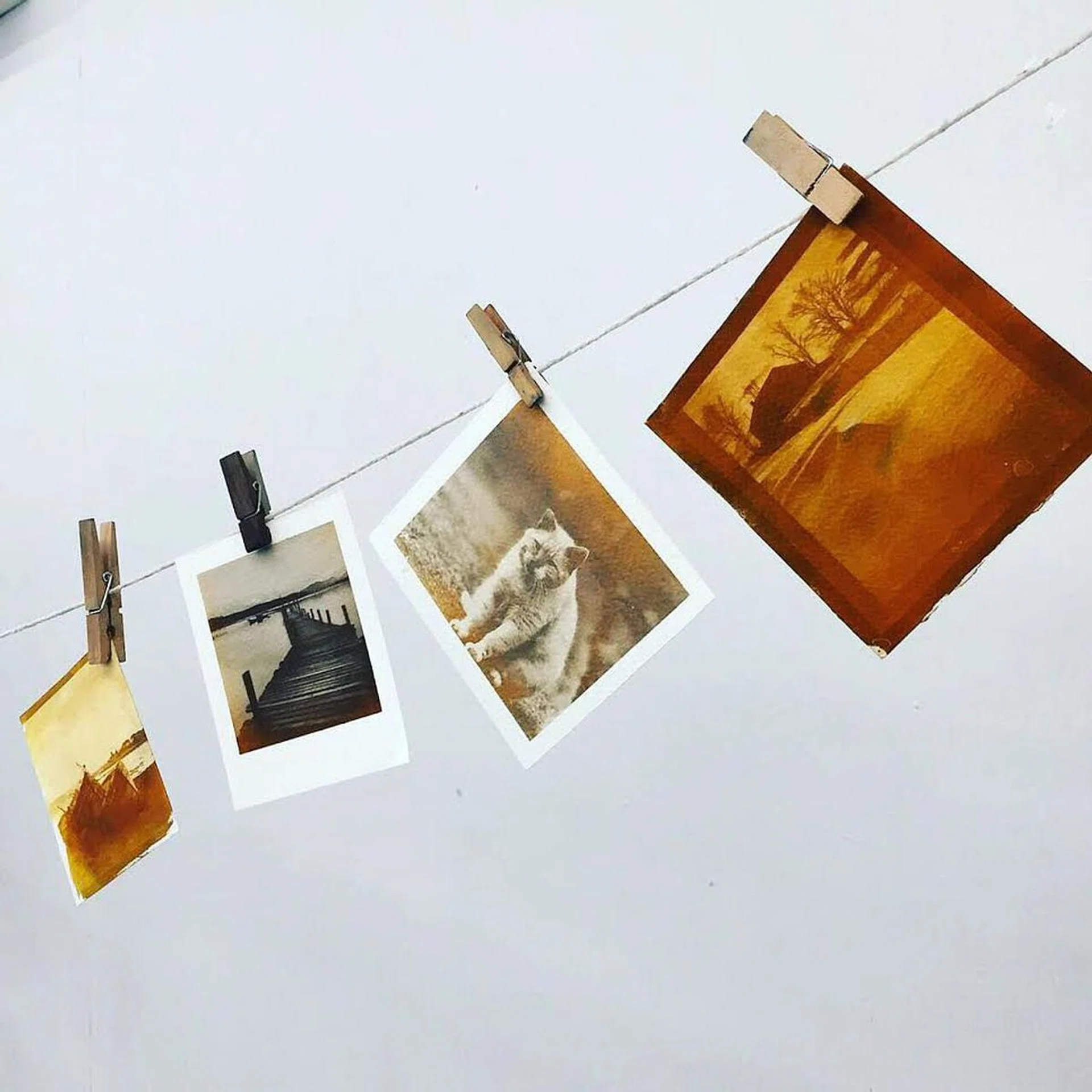 vintage_printing_-_vandyke_brown