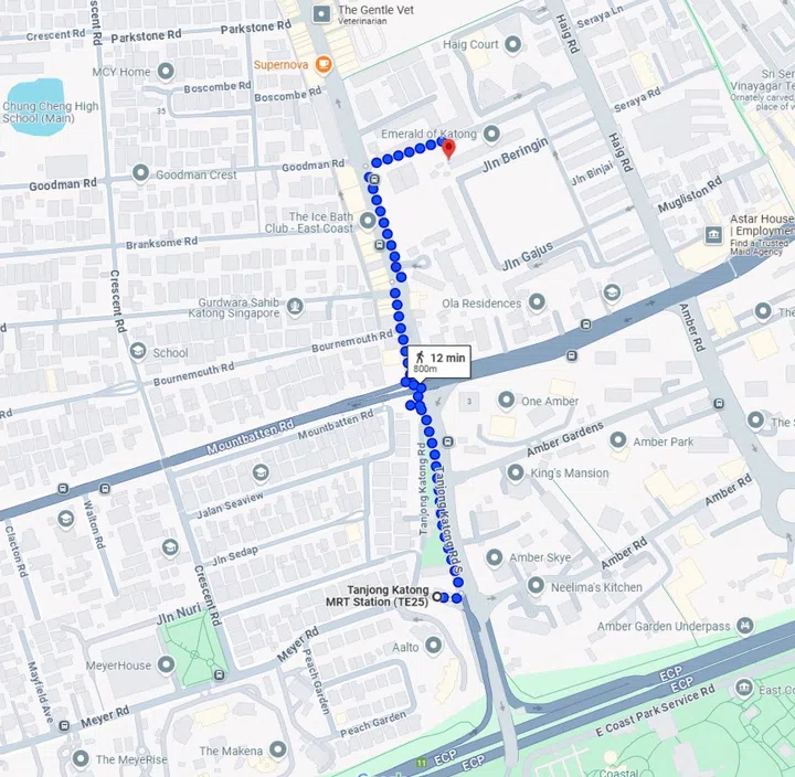 Emerald of Katong is a 12-minute walk from the nearest Tanjong Katong MRT Station.