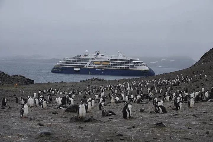Penguin colonies are as fascinating as one expects. PHOTO: KENNY WONG