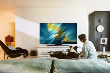 Samsung 77” OLED S95F 4K Vision AI Smart TV (2025)