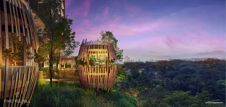 One of the Pinetree Nests at Pinetree Hill. The pavilions light up at night, providing residents with a unique vantage point of the surrounding greenery. 
