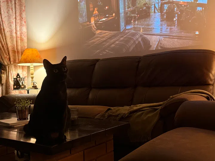 Joy for the whole family.