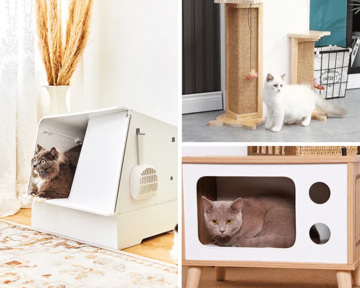 Taobao Shopping Guide: Cat Scratchers, Litter Trays, Accessories