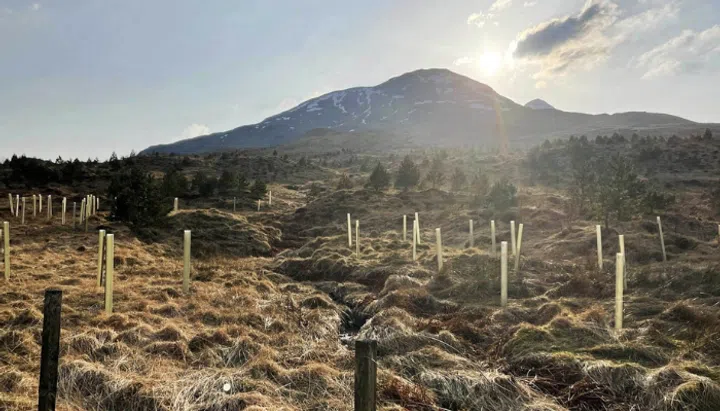 v-zug-vforest-sustainability-initiative