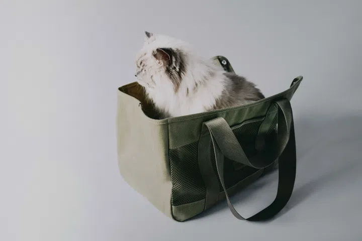 Lambwolf Collective’s Koala pet bag in Fern.