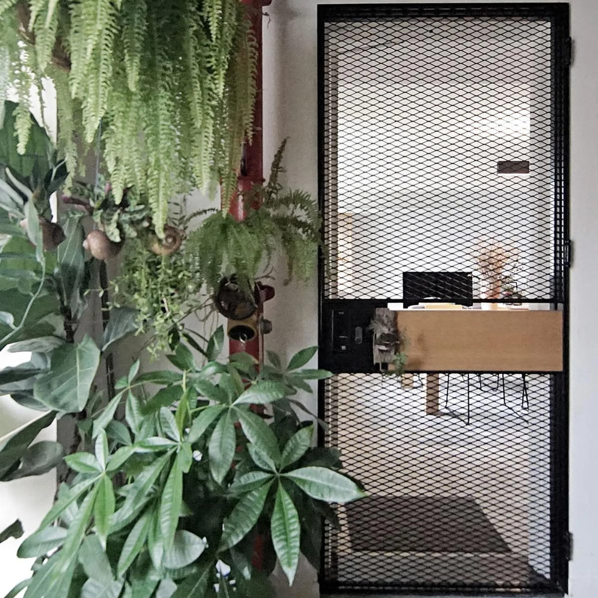 87801-p35-p02-2-main-door-w