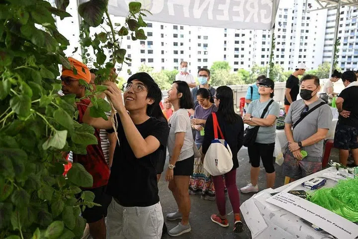 Visitors at Greenhood rooftop urban farm in Hougang