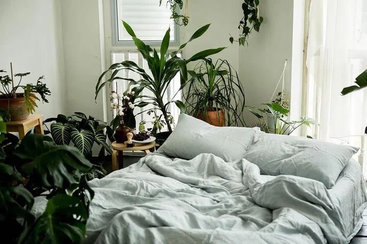 Sunday Bedding collection