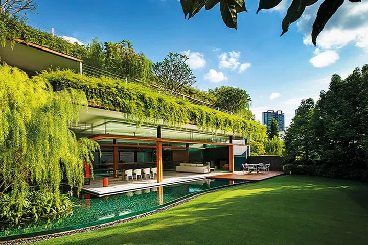 Abundant foliage keeps the house cool, reducing the family’s reliance on air-conditioning. (Photo: Patrick Bingham-Hall)