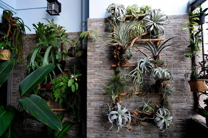 edible garden urban farming