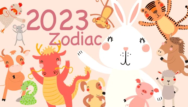 lunar new year zodiac forecast home and decor