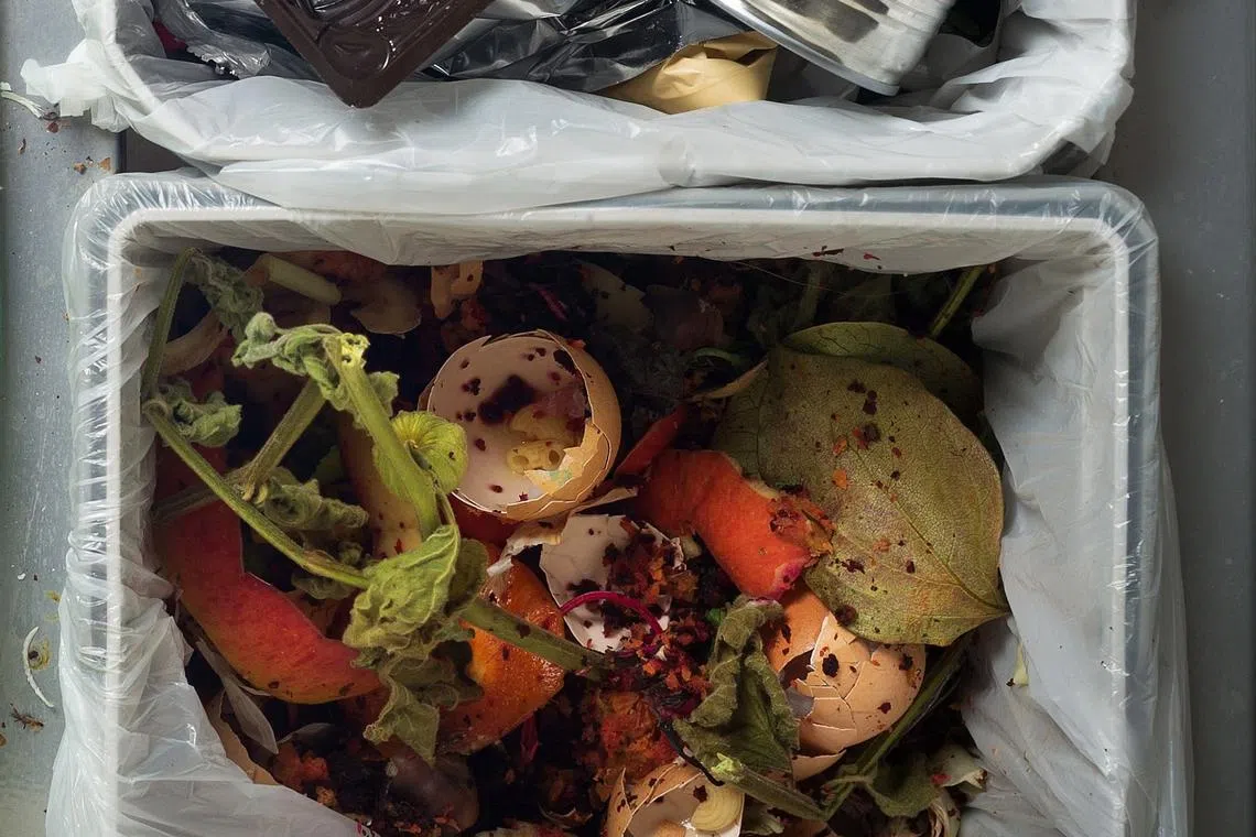 Kitchen tips: Why and how to reduce food waste to save money - Home ...