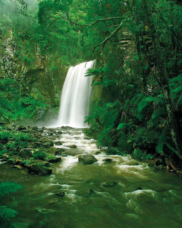 Waterfall in Rainforest, Victoria, Otway National Park, Australia
