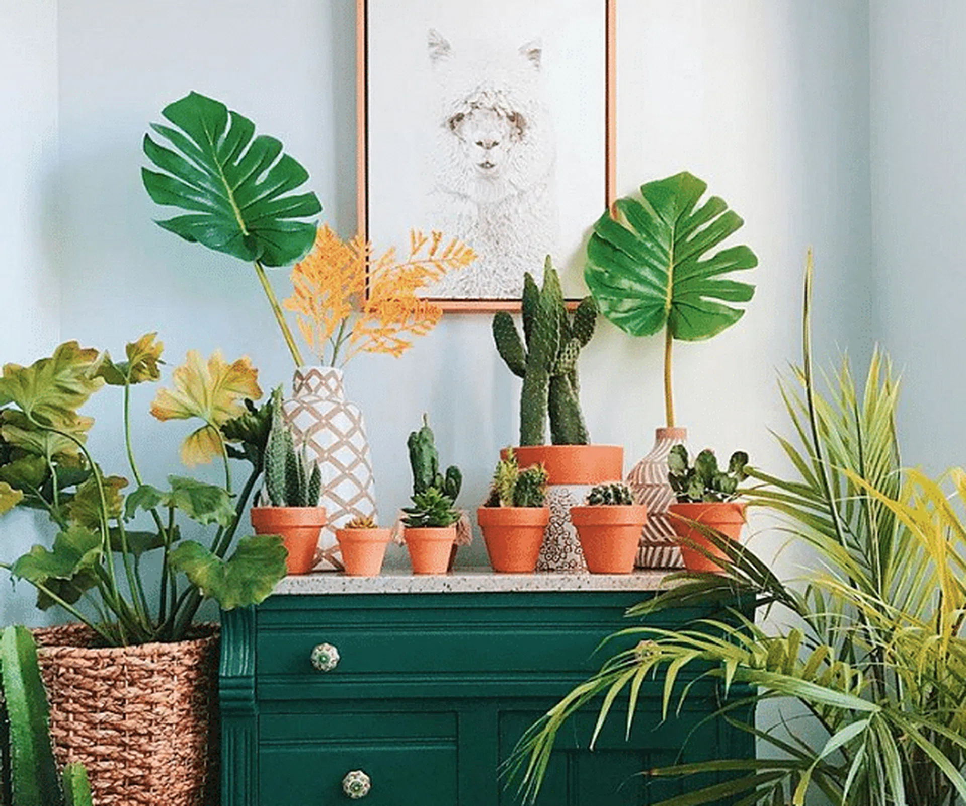 92101-screen-shot-2018-08-01-5-41-39-pm