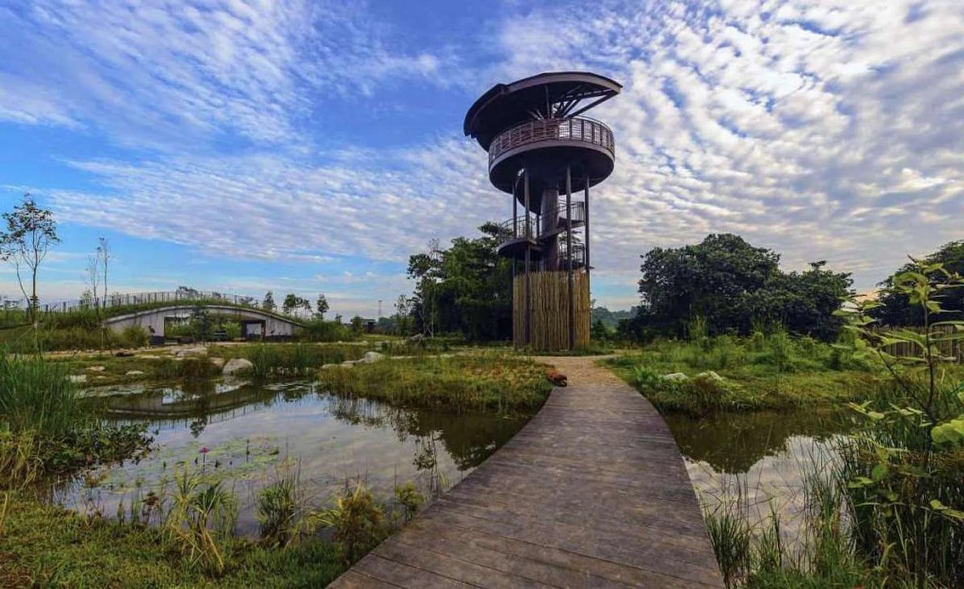 kranjimarshes11-1024x626