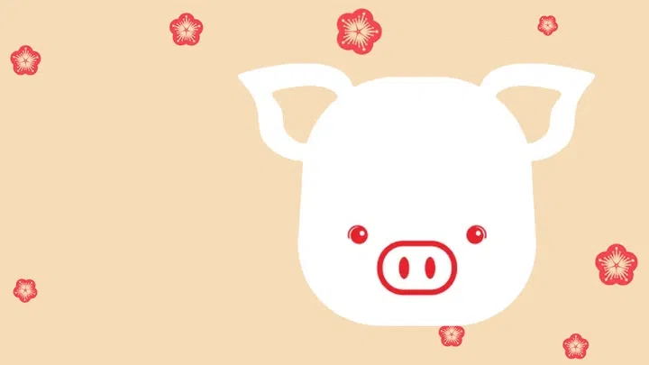 Pig 2024 Zodiac Feng Shui reading by Grand Master Phang