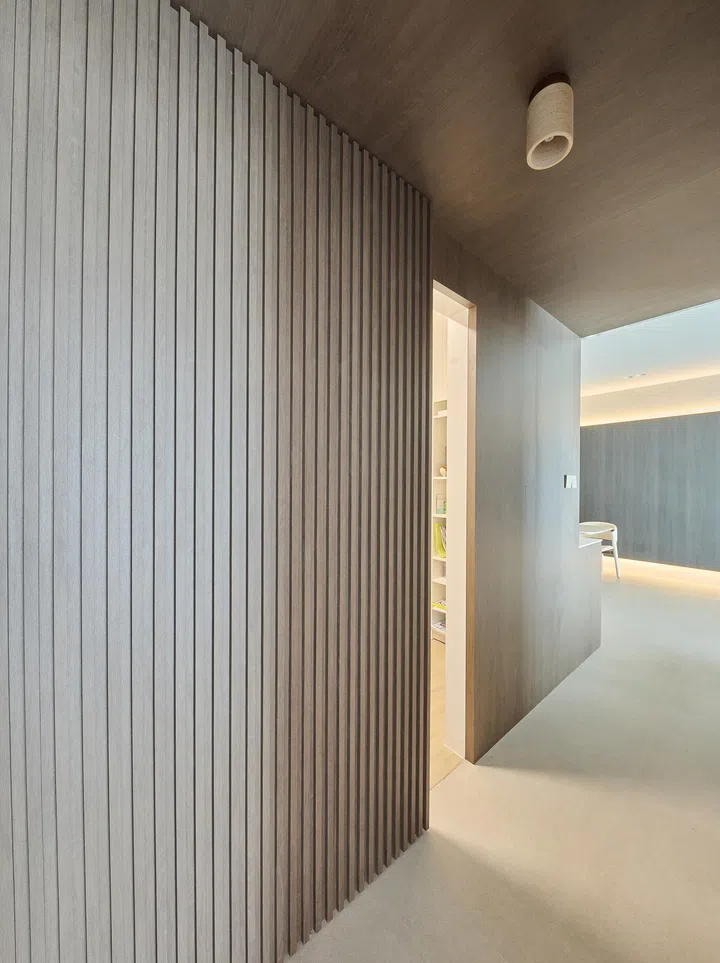 A sleek, modern door seamlessly integrated into the wall, enhancing the minimalist aesthetic of the home.