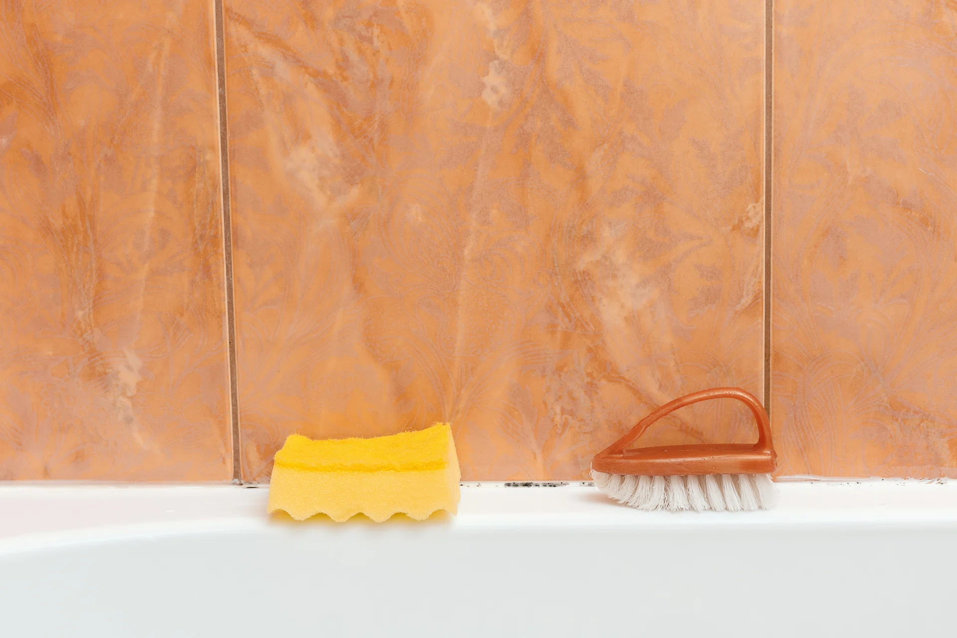 Sponge and brush are in the bathroom for cleaning mold.