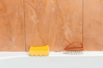 Sponge and brush are in the bathroom for cleaning mold.
