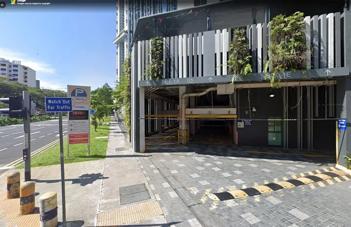 Pinnacle Duxton carpark entrance. Screengrab from Google Maps.