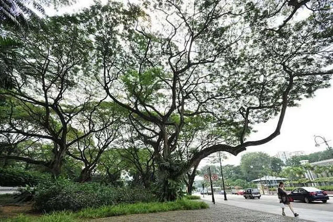 Explore more in depth details about Singapore on these heritage tours ...