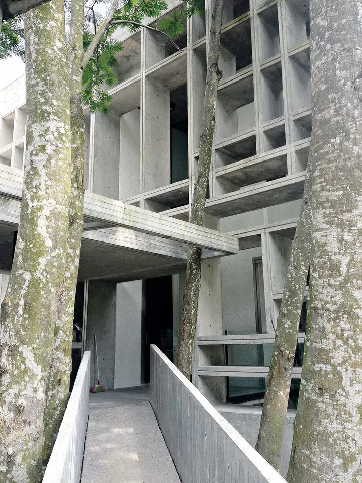 The main approach to the Chempenai House in Kuala Lumpur Damansara Heights is via a bridge flanked by multiple mature Albizia trees.