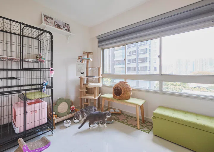 A spare bedroom was turned into a dedicated room for Charlotte’s rescued cats, complete with climbing structures, resting spots and plenty of natural light.
