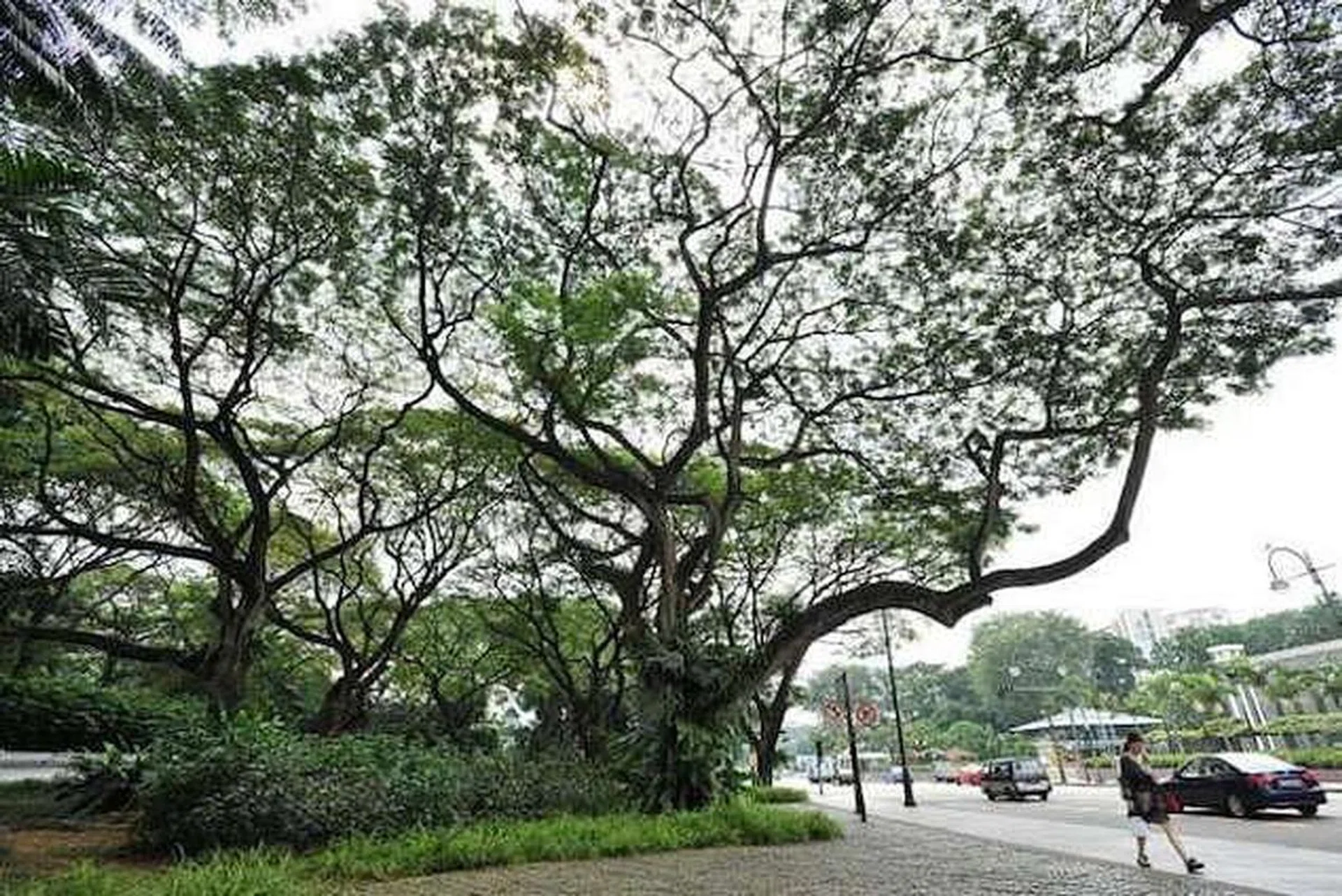 3103-nparkstrails-main-635