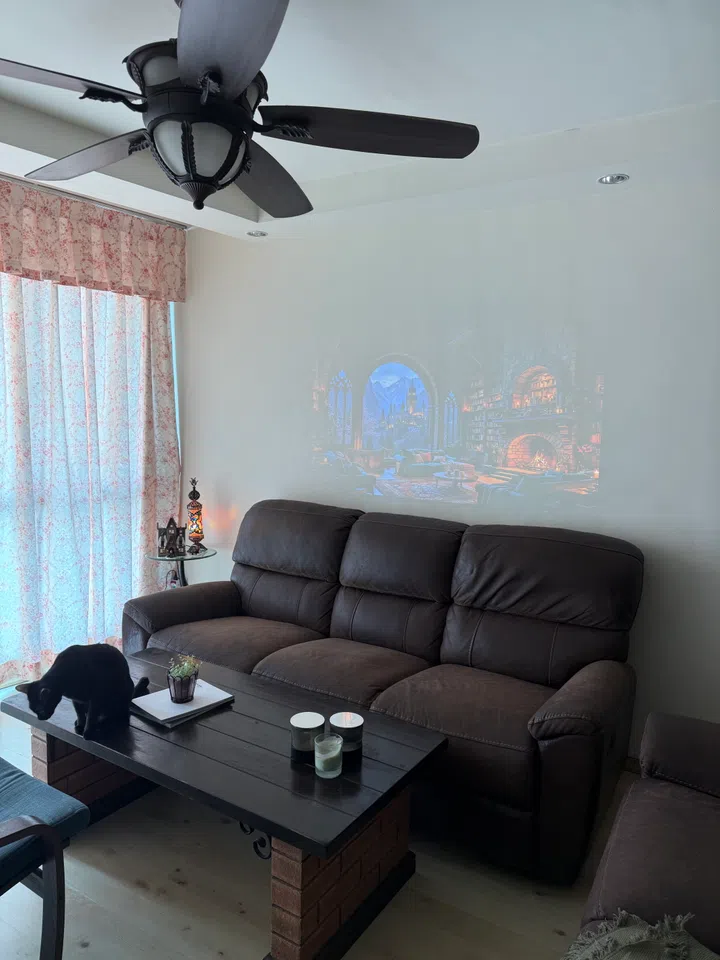 Sunlight – a projector’s biggest enemy?