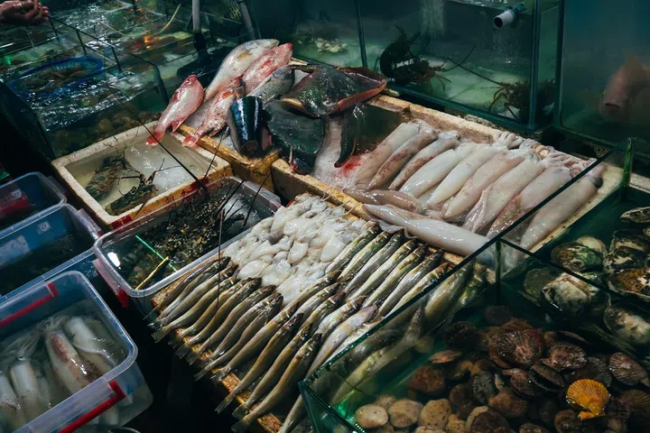 Seafood on display in a fish market in Istanbul, Turkey