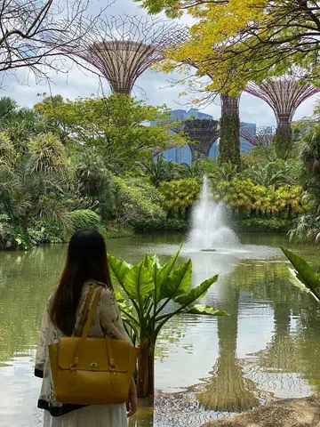 Although this couple relocated to Malaysia, they returned to Singapore at least once a month or every few months. Gardens at the Bay in 2022, before moving home.