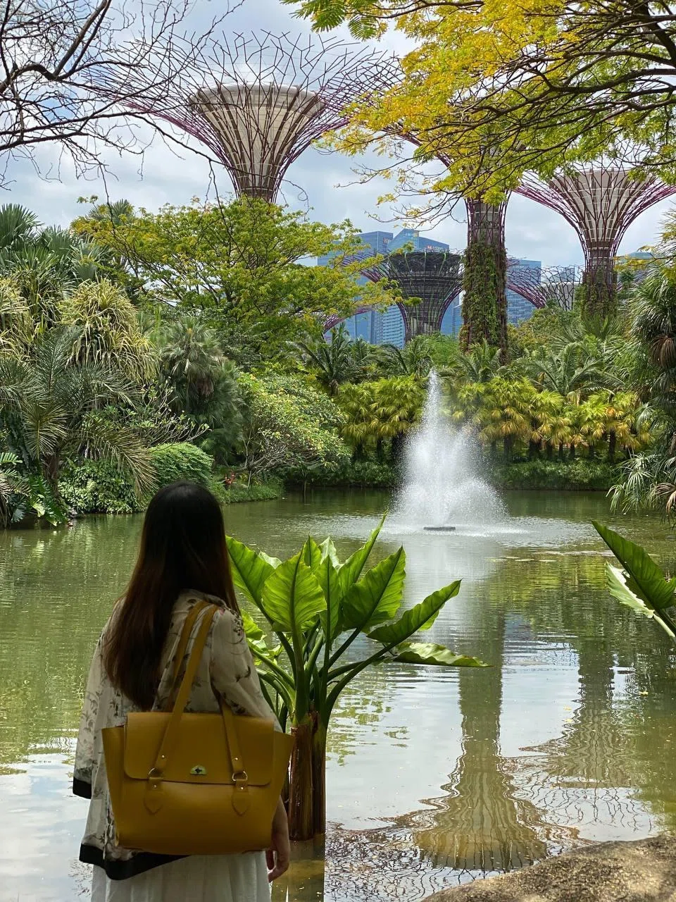 Although this couple relocated to Malaysia, they returned to Singapore at least once a month or every few months. Gardens at the Bay in 2022, before moving home.