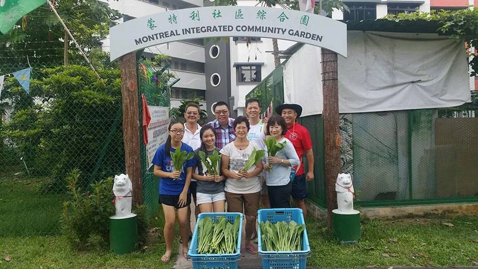 community gardening