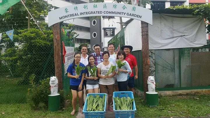 community gardening