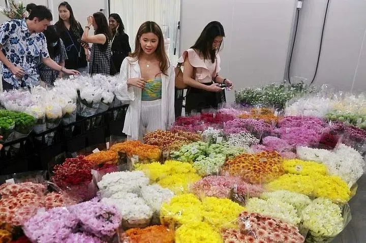 The garden centre houses a cold warehouse that sells exotic flowers, fruits and vegetables at wholesale prices.