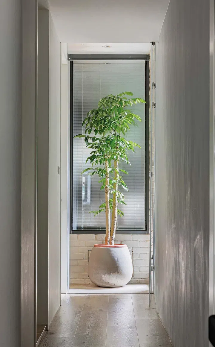 Soothing hues and spots of greenery add to the serene feel.