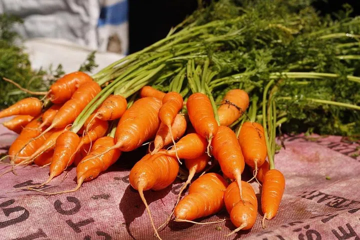 Close up of a stack of carrots.