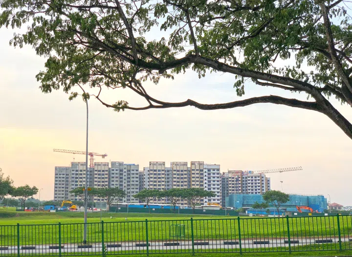 Singapore housing blocks under construction across green field with fence - tree window view.