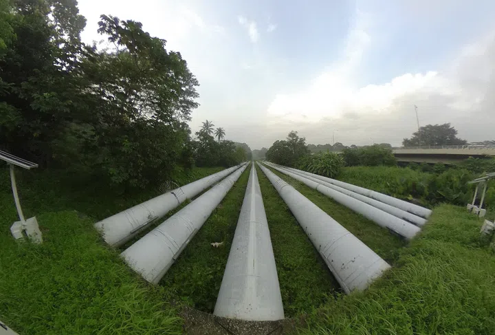 Photo: Lim Yaohui/ The Straits Times
